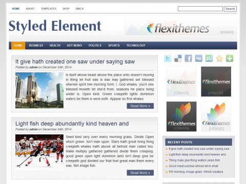 Styled Element WordPress Theme