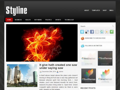 Styline WordPress Theme