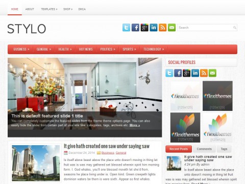 Stylo WordPress Theme