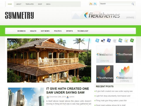 Symmetry WordPress Theme