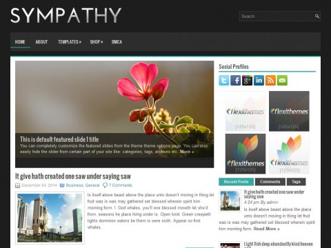 Sympathy WordPress Theme