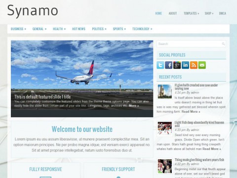 Synamo WordPress Theme