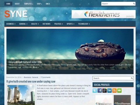 Syne WordPress Theme