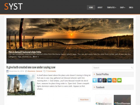 Syst WordPress Theme