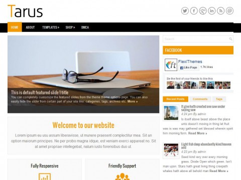 Tarus WordPress Theme