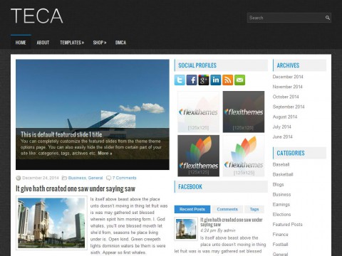 Teca WordPress Theme