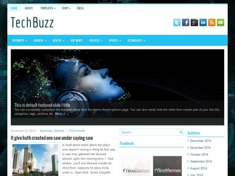 TechBuzz WordPress Theme