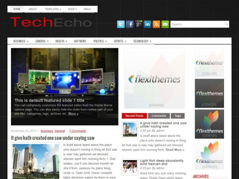 TechEcho WordPress Theme