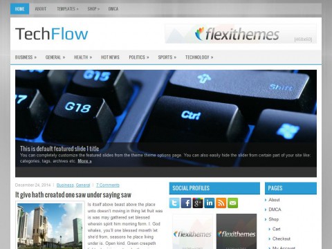 TechFlow WordPress Theme