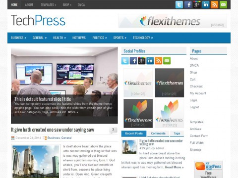 TechPress WordPress Theme