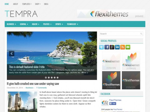 Tempra WordPress Theme