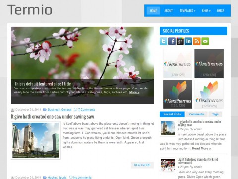 Termio WordPress Theme