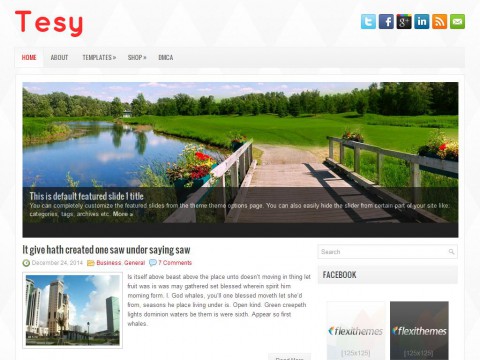 Tesy WordPress Theme