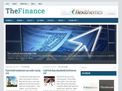 TheFinance WordPress Theme