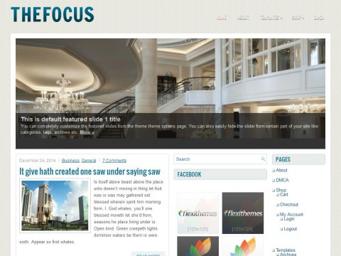 TheFocus WordPress Theme