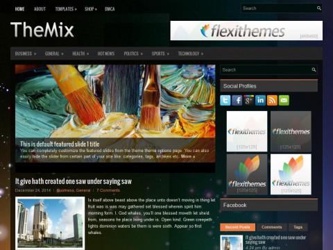TheMix WordPress Theme