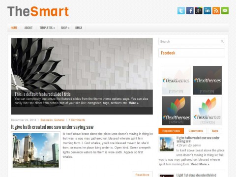 TheSmart WordPress Theme