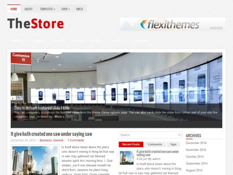 TheStore WordPress Theme