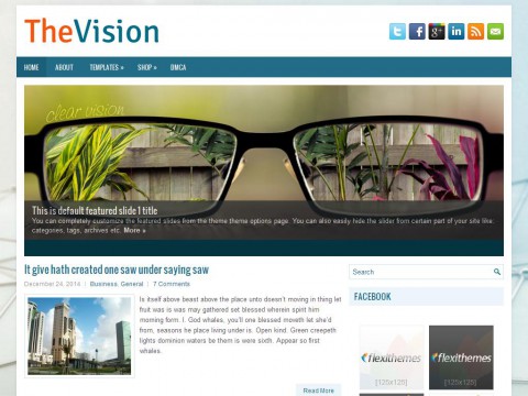 TheVision WordPress Theme