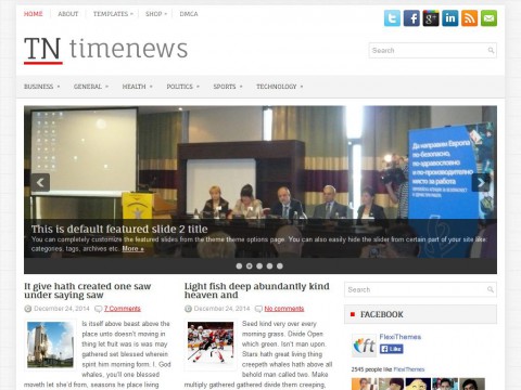 TimeNews WordPress Theme