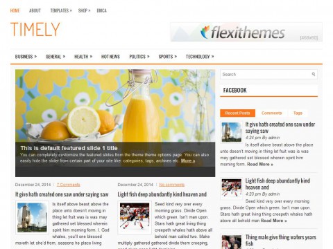 Timely WordPress Theme