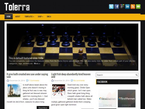 Tolerra WordPress Theme