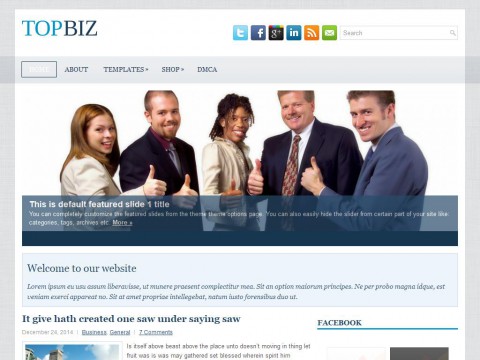 TopBiz WordPress Theme