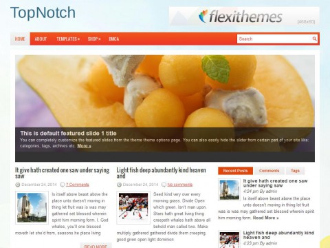 TopNotch WordPress Theme