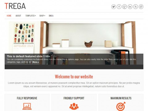 Trega WordPress Theme