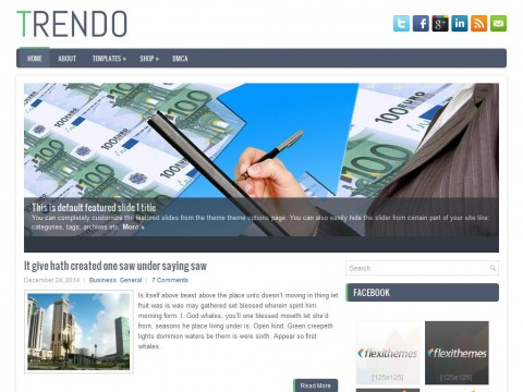 Trendo WordPress Theme