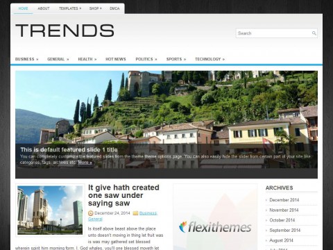 Trends WordPress Theme