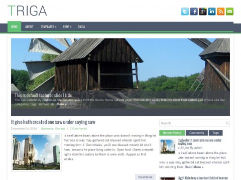 Triga WordPress Theme