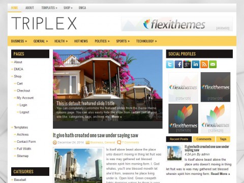 Triplex WordPress Theme