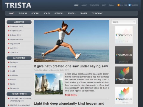 Trista WordPress Theme