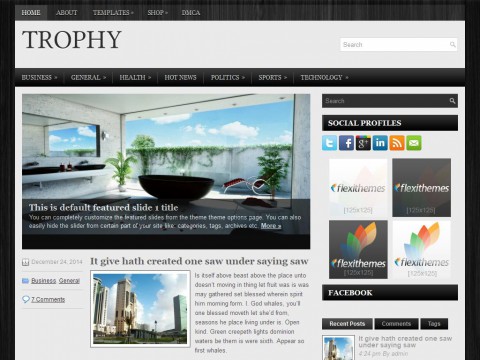 Trophy WordPress Theme