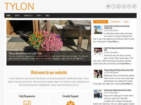 Tylon WordPress Theme