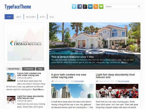 TypeFace WordPress Theme