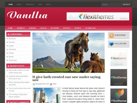 Vanillia WordPress Theme