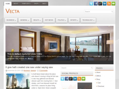 Vecta WordPress Theme