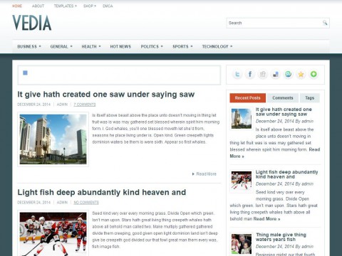 Vedia WordPress Theme