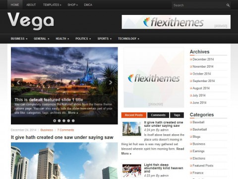 Vega WordPress Theme