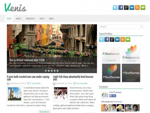 Venis WordPress Theme