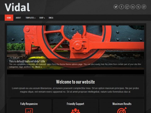 Vidal WordPress Theme