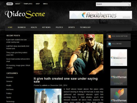 VideoScene WordPress Theme