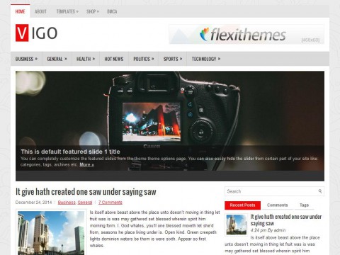 Vigo WordPress Theme