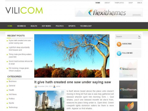 Vilicom WordPress Theme