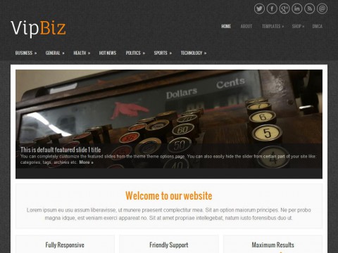 VipBiz WordPress Theme