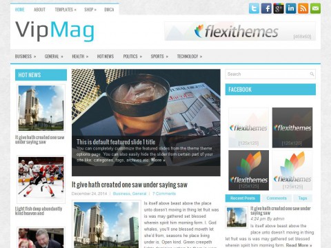 VipMag WordPress Theme