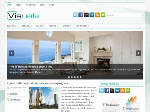 Visuale WordPress Theme