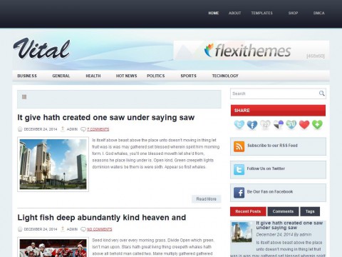 Vital WordPress Theme